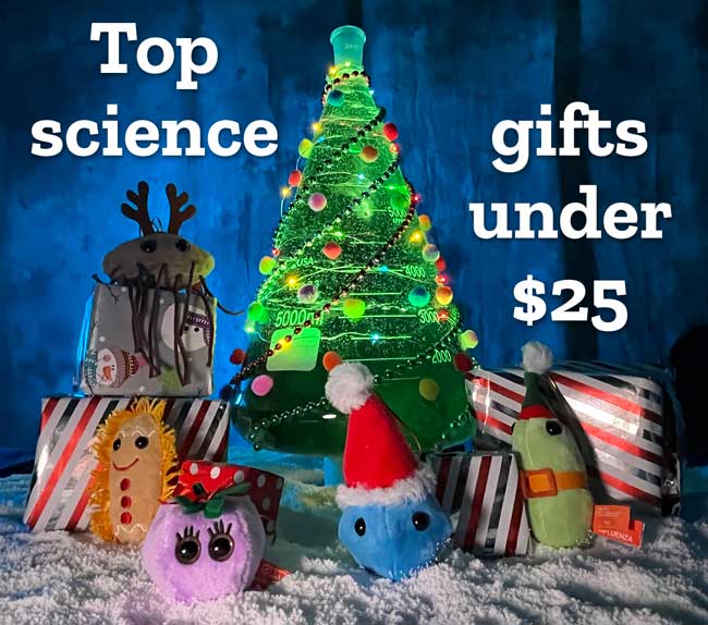 Gifts under $25