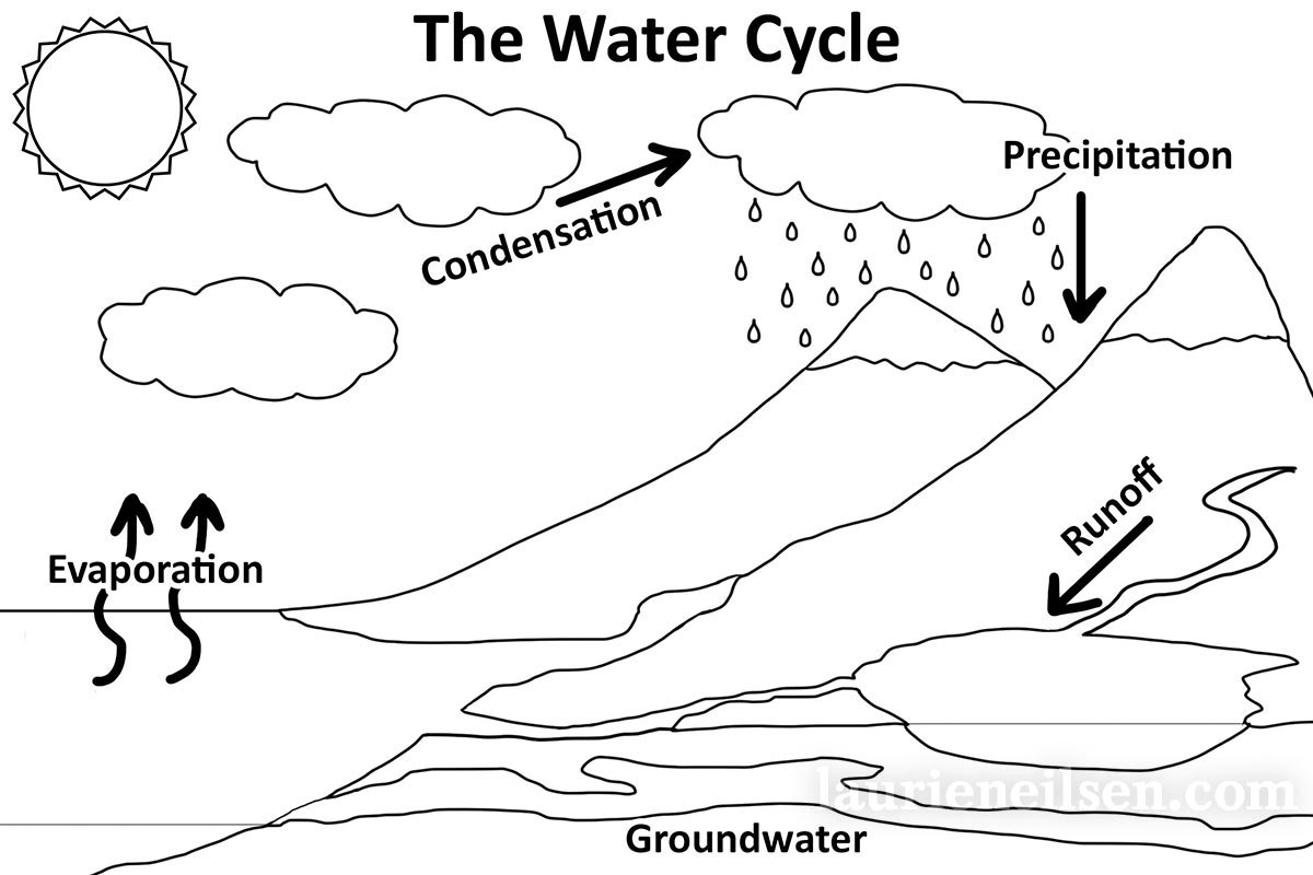 The Water Cycle