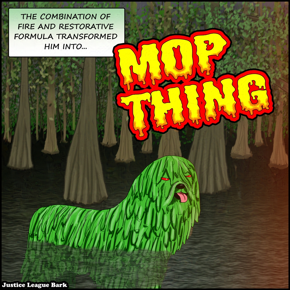 Mop Thing