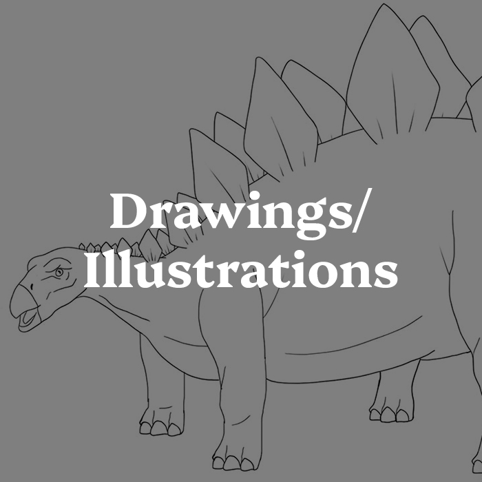 Drawings/Illustrations