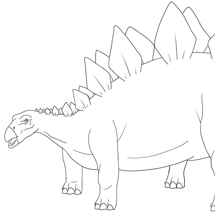 Line drawing of a stegosaurus